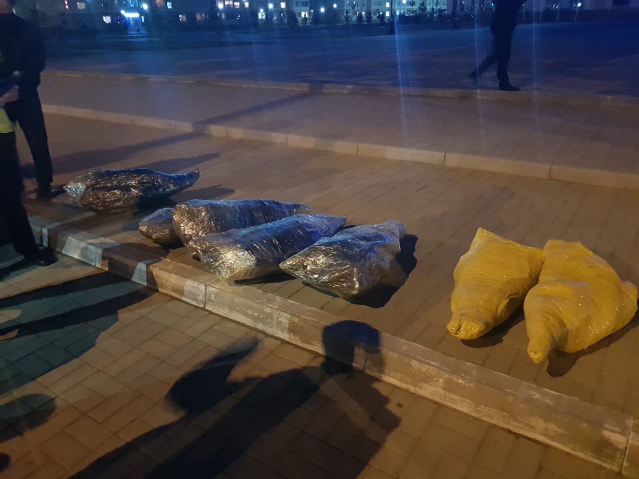 Полицейские Актау изъяли 200 килограммов рыбы осетровых пород