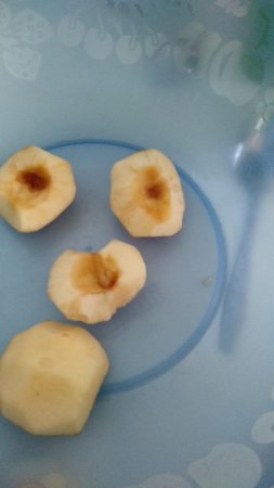 В Актау директор и воспитатель детского сада обвинили друг друга в избиении