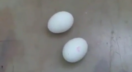Странные яйца поступили в продажу в Казахстане и Кыргызстане