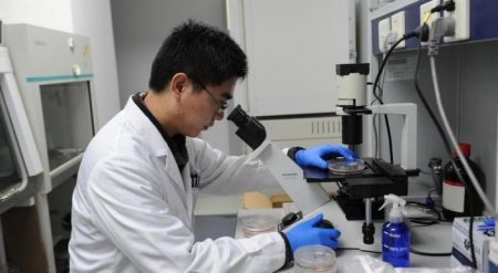 Китайские ученые перечислили продукты, снижающие риск развития рака