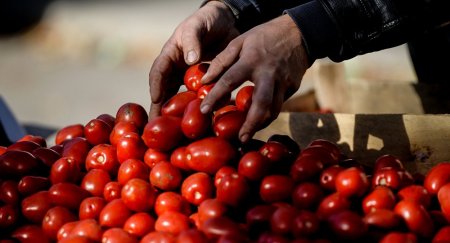 "Золотые" помидоры: министр экономики недоволен ценами на овощи в Казахстане