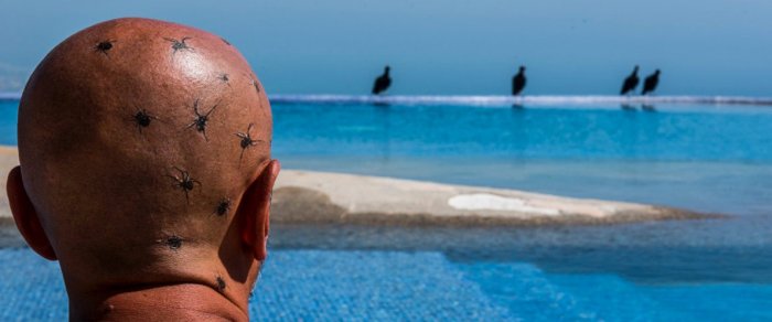 Как провести ближайшие выходные в Актау