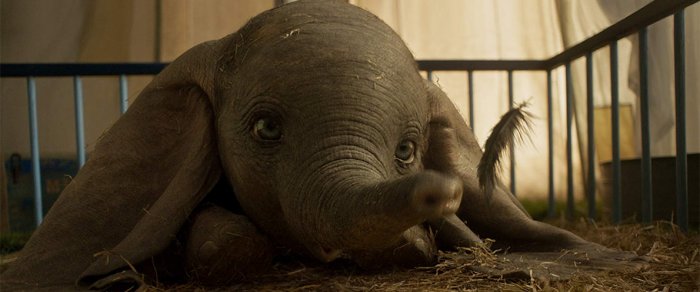 Как провести ближайшие выходные в Актау