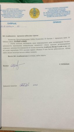 Полиция Актау: Бездомную собаку усыпили на основании жалоб пострадавших жителей