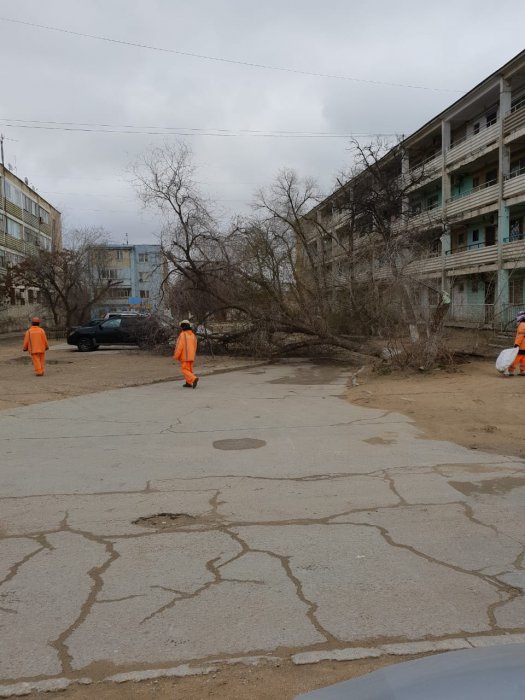 Последствия непогоды в Мангистау:  упавшие деревья и  сорванные крыши