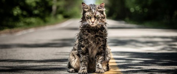 Как провести ближайшие выходные в Актау