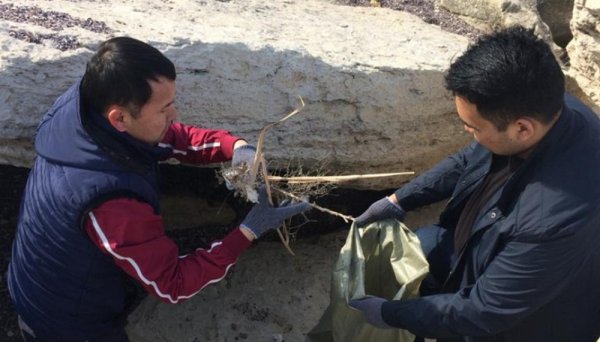 За два часа чиновники собрали 30 тонн мусора в Актау