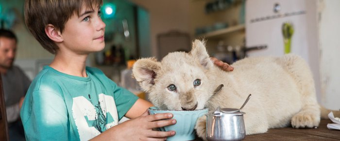 Как провести ближайшие выходные в Актау