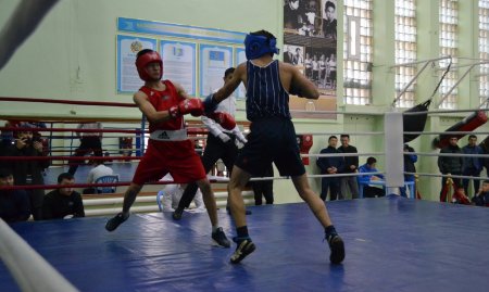 Любительский турнир по боксу стартовал в Актау
