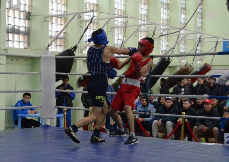 Любительский турнир по боксу стартовал в Актау