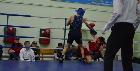 Любительский турнир по боксу стартовал в Актау