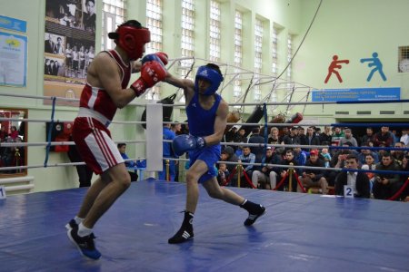 Любительский турнир по боксу стартовал в Актау