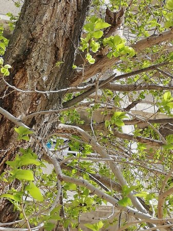 Неожиданный но приятный гость