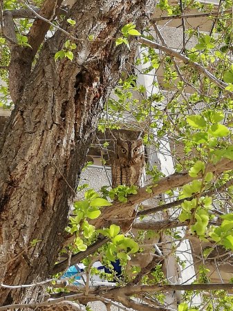 Неожиданный но приятный гость