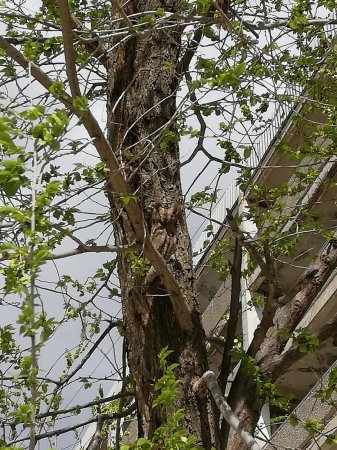 Неожиданный но приятный гость