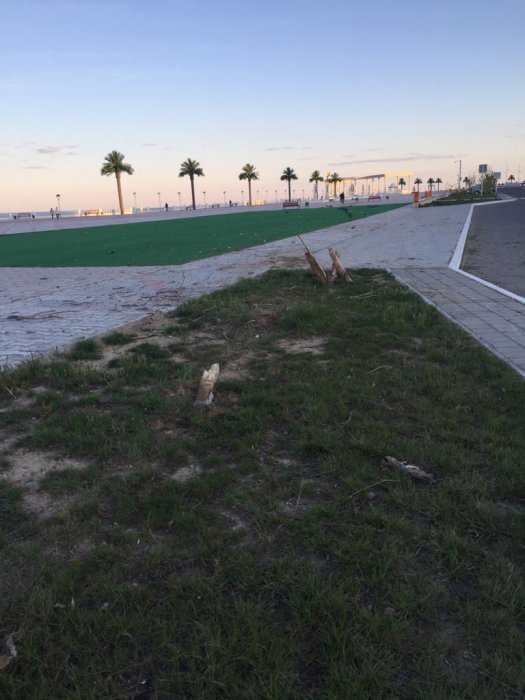 На набережной Актау автомобиль вылетел на пешеходную зону