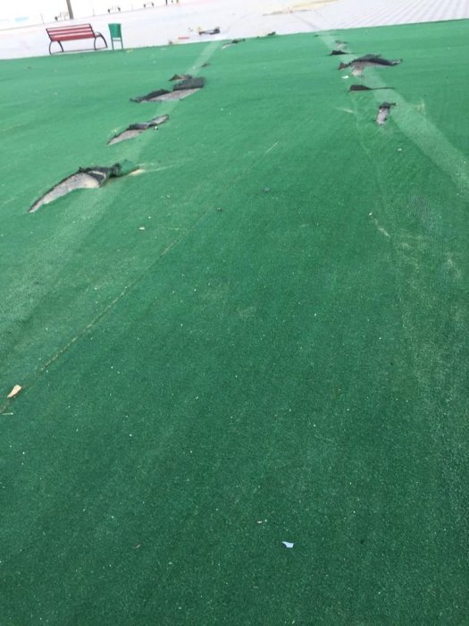 На набережной Актау автомобиль вылетел на пешеходную зону