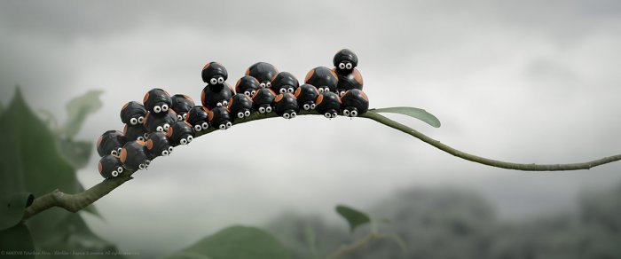 Как провести ближайшие выходные в Актау