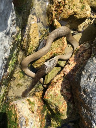 Ужатый рыбак!