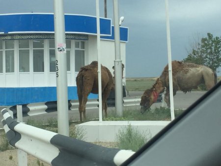 Свято место пусто не бывает. На закрытом посту новые хозяева