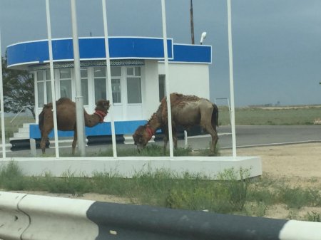 Свято место пусто не бывает. На закрытом посту новые хозяева