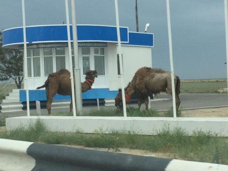 Свято место пусто не бывает. На закрытом посту новые хозяева