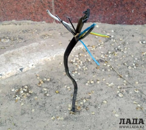 Что за безалаберность властей?