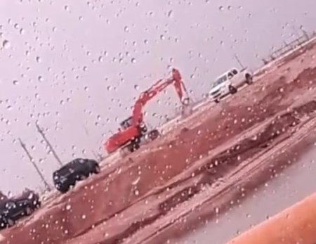 На месторождении Каламкас зафиксировано повторное проявление грифона