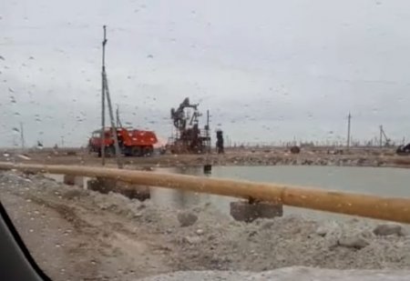 На месторождении Каламкас зафиксировано повторное проявление грифона