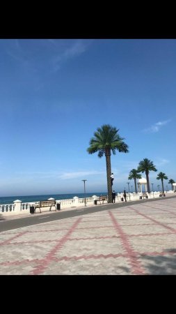 За кокосами? Часть 3