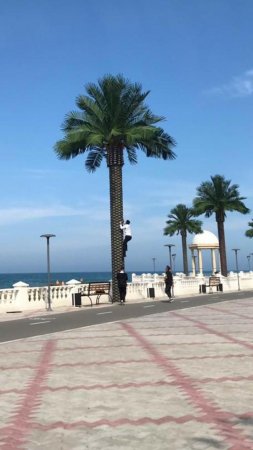 За кокосами? Часть 3