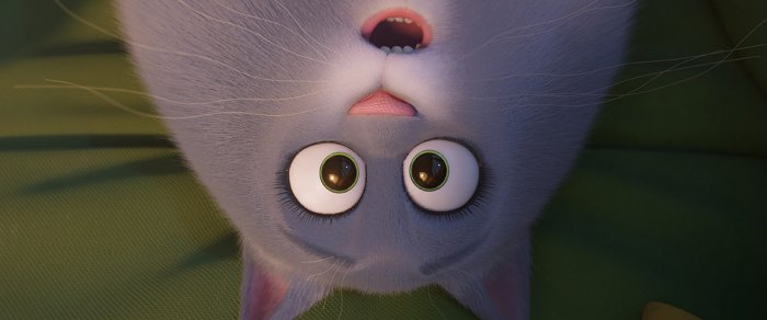 Как провести ближайшие выходные в Актау