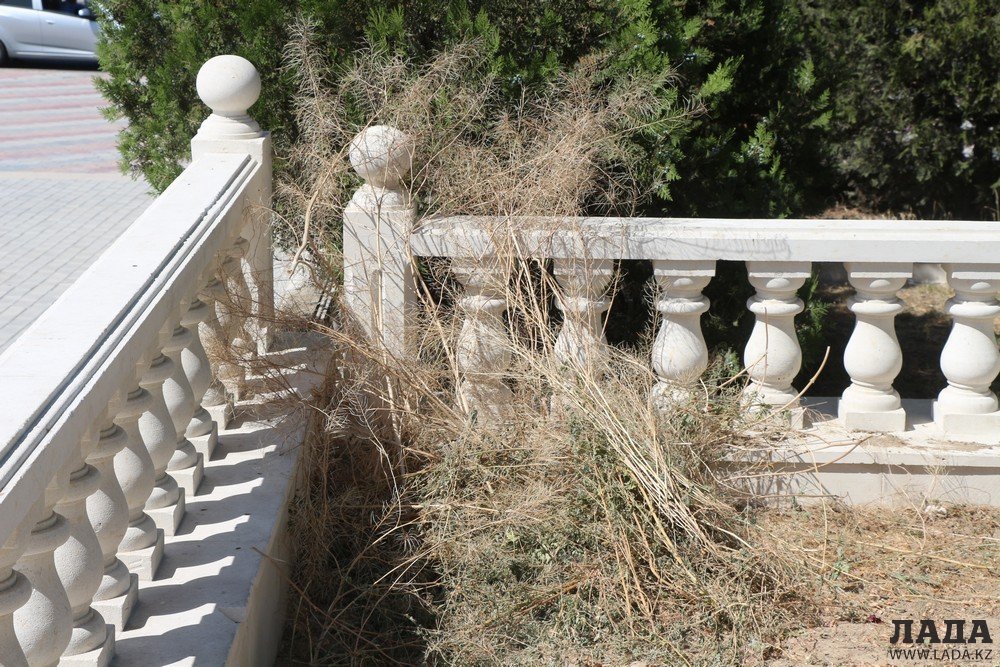 Фоторепортаж: Состояние зеленых насаждений на аллее Победы в Актау