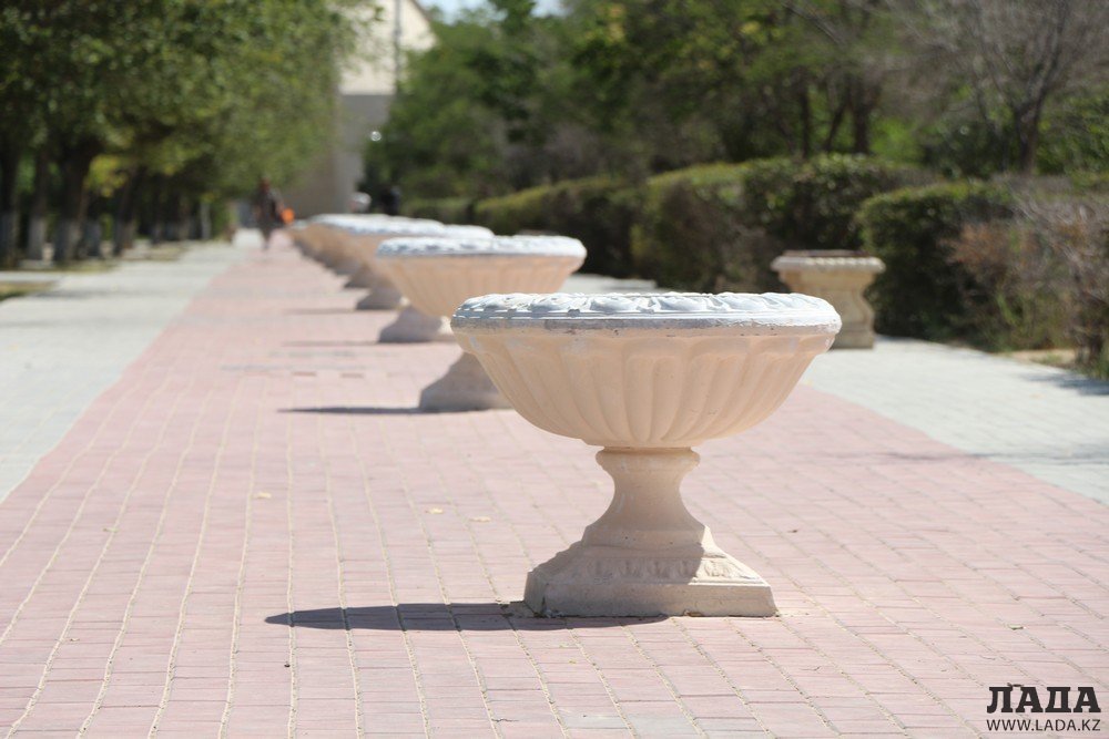 Фоторепортаж: Состояние зеленых насаждений на аллее Победы в Актау