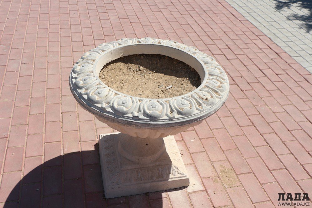 Фоторепортаж: Состояние зеленых насаждений на аллее Победы в Актау