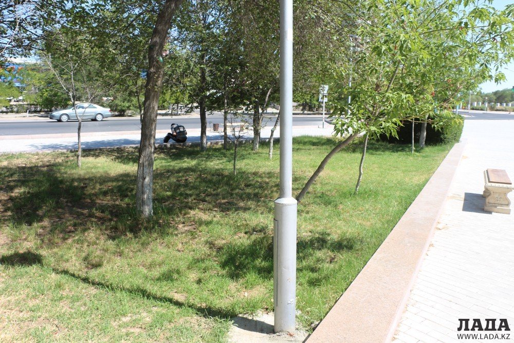 Фоторепортаж: Состояние зеленых насаждений на аллее Победы в Актау