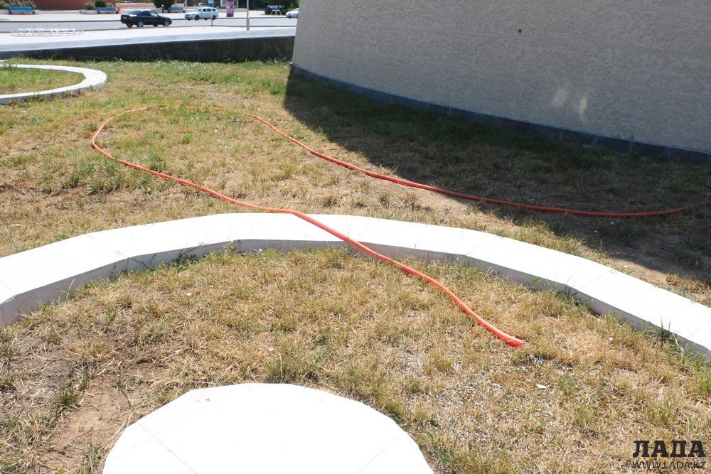 Фоторепортаж: Состояние зеленых насаждений на аллее Победы в Актау