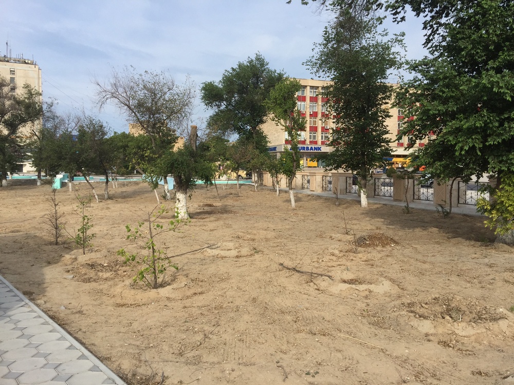 Неужели дождались