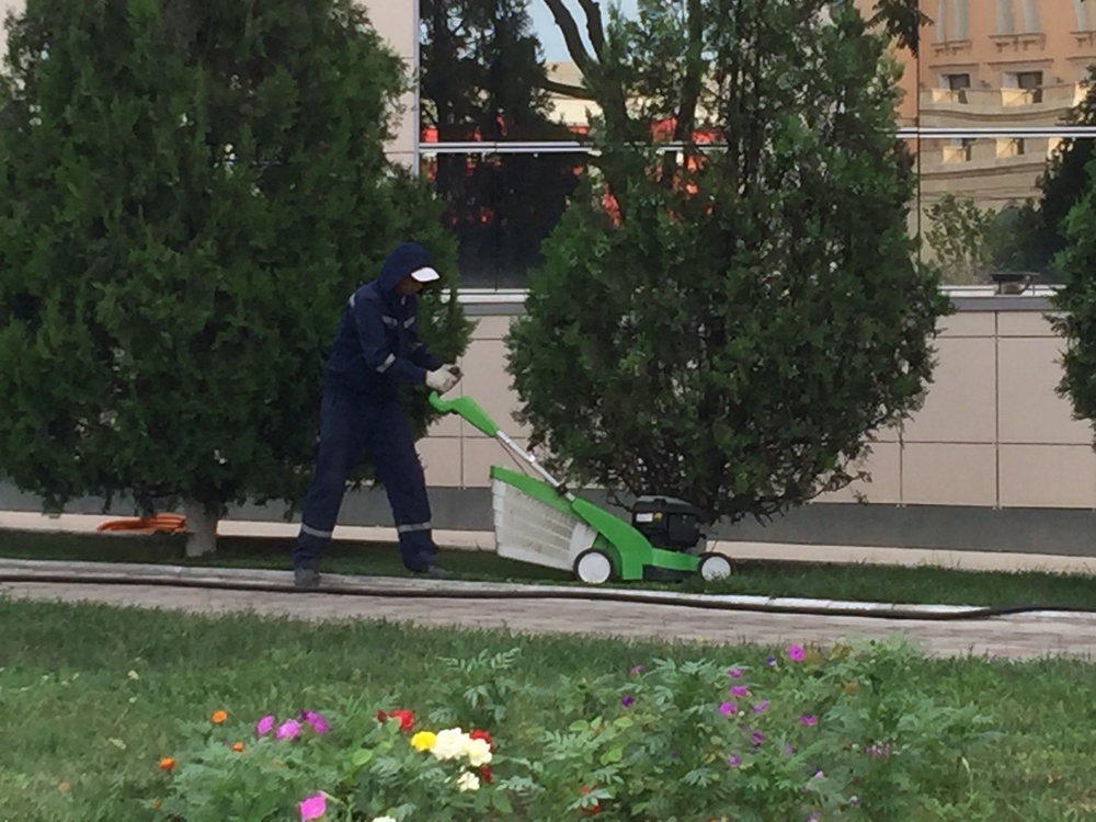 Вот как надо ухаживать за растениями