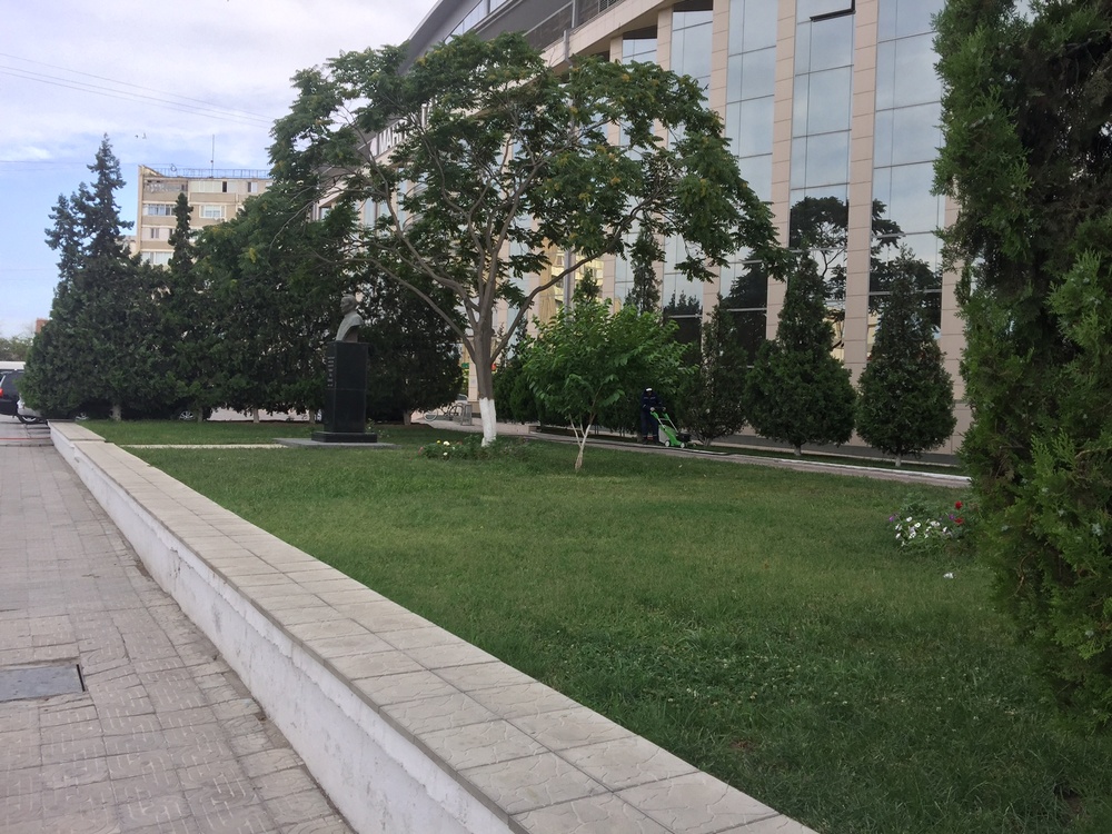 Вот как надо ухаживать за растениями