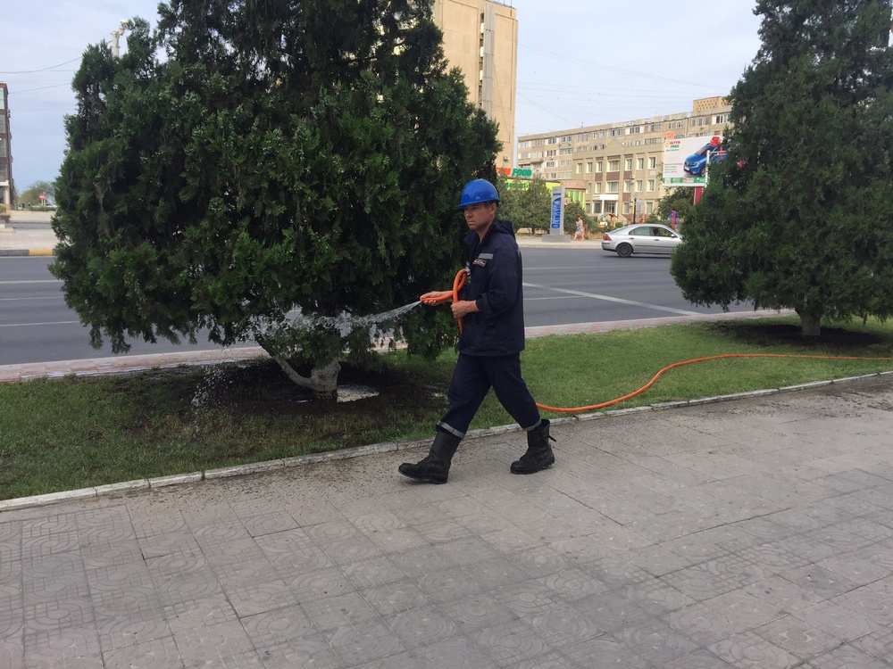 Вот как надо ухаживать за растениями