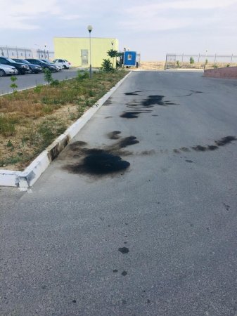 Группа молодых людей пыталась выжечь сердце возле перинатального центра в Актау