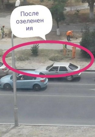 До озеленения и после...