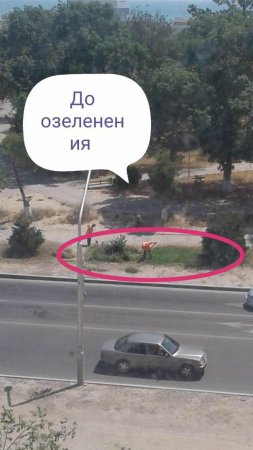 До озеленения и после...