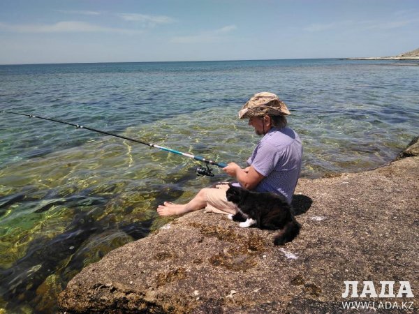 Ради лакомства на рыбалку с хозяином