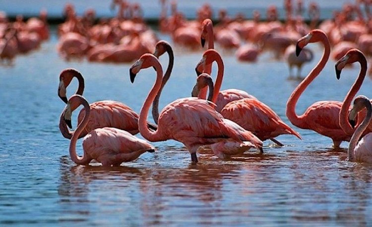 ТОП-5 удивительных мест Казахстана, которых вы могли не видеть