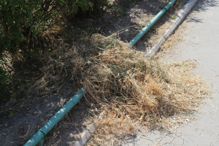 Полив по факту: Исполнение графика полива в Актау 11 июня