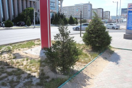 Полив по факту: Исполнение графика полива в Актау 11 июня