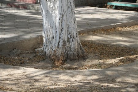 Полив по факту: Исполнение графика полива в Актау 11 июня