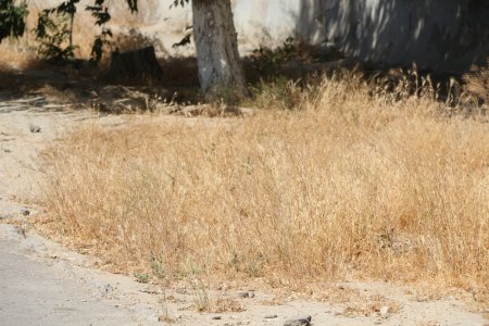 Полив по факту: Исполнение графика полива в Актау 11 июня